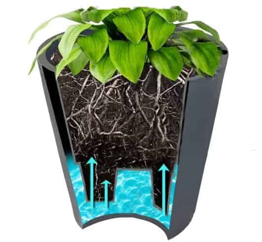 Self Watering Pots