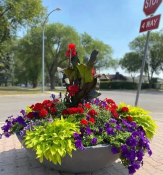 how to use self watering pots